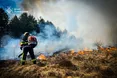 Львівщина у вогні: протягом доби зареєстровано 169 пожеж в екосистемах
