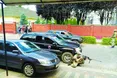 Потворні гримаси закарпатського «контрабасу»