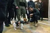 Прем'єр Британії та пес Патрон: мила зустріч у Києві (ФОТО)