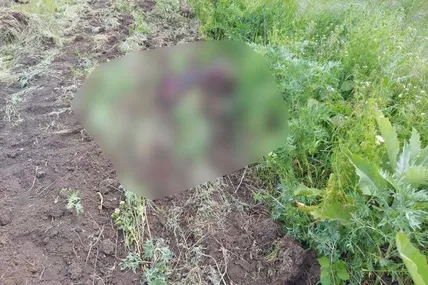 Наслідки обстрілу. Фото: Офіс генерального прокурора