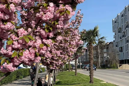 Фото автора