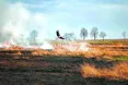 Вороги України нищать вогнем її багатство і красу