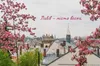 У Львові триває фотоконкурс «Місто весни»: учасники можуть виграти відпочинок, вечерю чи екскурсію