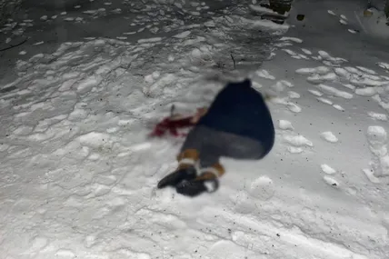 Фото: Олег Синєгубов