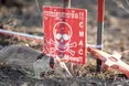Щур став рекордсменом з кількості знайдених наземних мін