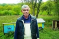 Чорницею шведи фарбують джинси, журавлиною виганяють радіонукліди…