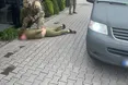 Незаконний перетин кордону: поблизу Румунії викрили канал переправлення військовозобовʼязаних