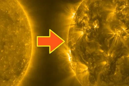 Фото:  Science Alert