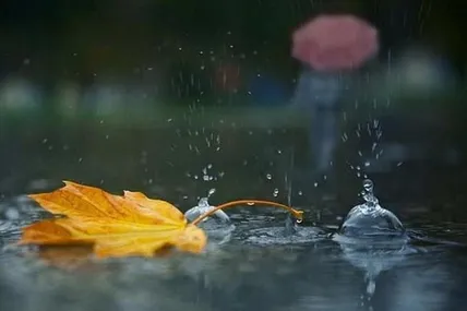 Фото умовне