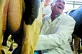 «Пожиттєвка» для Литвина