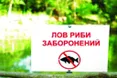 Ловити рибу заборонено: нерестова пора