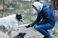 «Візьми мене додому», - ніби кажуть собаки із притулку «Милосердя»