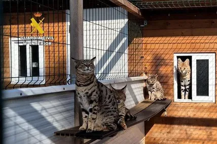 Фото: Міністерство внутрішніх справ Іспанії