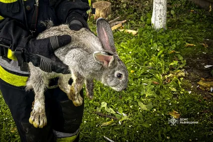Фото: Головне управління ДСНС України у Львівській області
