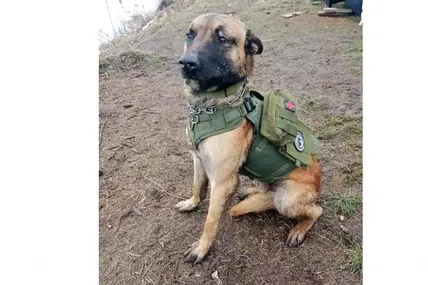 Нік був бойовим побратимом наших воїнів...