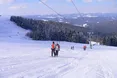 «У сезон ціни множать на три. Лише після 10 січня стають на свої місця»