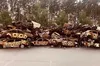 "Квіти надії": художник з США разом з українською мисткинею малюють мурали в Ірпені