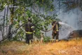 Горіли сотні гектарів лісу: на Донеччині рятувальники погасили масштабну пожежу