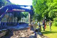 У сквері Святого Юра рятують дерева і встановлюють намети