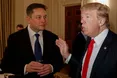 Маск працюватиме в адміністрації Трампа?
