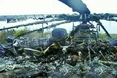 16 гелікоптерів Мі-8, які так потрібні у зоні АТО, літають... в Африці