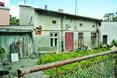 Сучасний мауглі спить лише сидячи...
