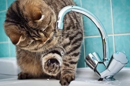 Гаряча вода. Фото ілюстративне