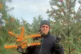 Обліпиха дарує цілющі ягоди