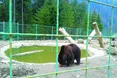 «Санаторій» для клишоногих…