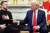 «Не можу терпіти хуліганів»: головний кіт Британії та світові зірки підтримали Зеленського