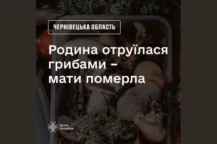 Фото: ДСНС