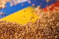 Україна експортувала понад 30,8 мільйона тонн зернових культур
