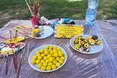 На Львівщині встановили «яворівський» рекорд України
