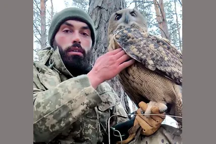 Сова Варя послухалася свого друга у камуфляжній формі і глянула в об‘єктив, звідки мала би «вилетіти пташка»...