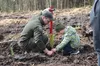 На Львівщині висадили приблизно 180 тисяч дерев (ФОТО)