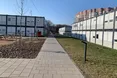 «Колись хотіла поїхати до Львова на екскурсію, мрія здійснилася через воєнну евакуацію…»