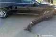 Шестеро травмованих у трьох мототрощах на Львівщині за добу