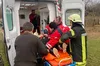 На Львівщині в лісі на жінку впало дерево