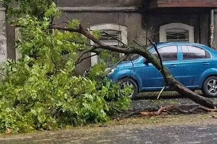 Фото: Одеська міська рада
