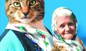 Автор бабусі з котом готується до... президентських виборів