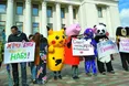 Битва за ревізорів