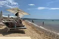 На пляжі в Італії загинув українець, якого атакували оси