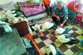 Рятувати лелек «без фанатизму»