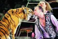«Лев, якого врятували маленьким, закрив мене собою, щоб не кинулися інші хижаки»