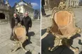 Крісло Митрополита Андрея повернули в Собор святого Юрія і відреставрують