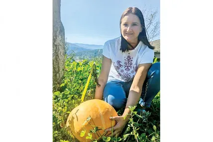 І на малородючих ґрунтах Любов Кузик виростила великі гарбузи. Фото автора