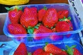 Свіжа іспанська полуниця — 180 гривень за кіло, з пліснявою — 100...