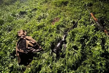 Фото поліції