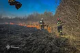 Через паліїв сухої трави ледь не загинула жінка…