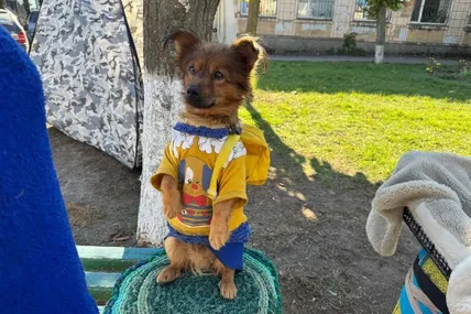 Фото із соцмереж